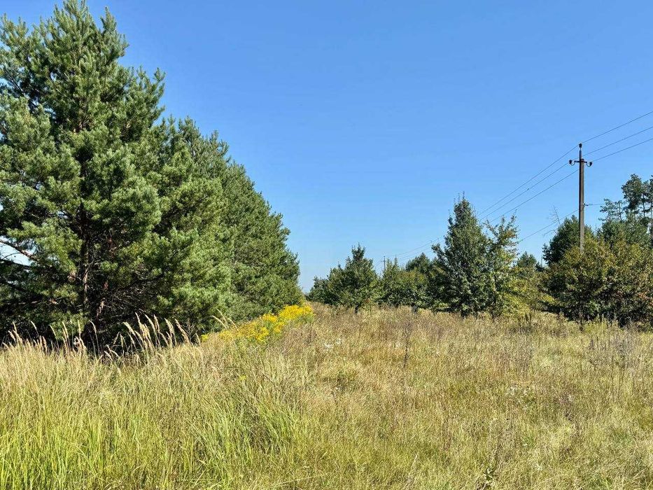 Продаж землі з власним озером під забудову! Прямий вихід в Ліс!