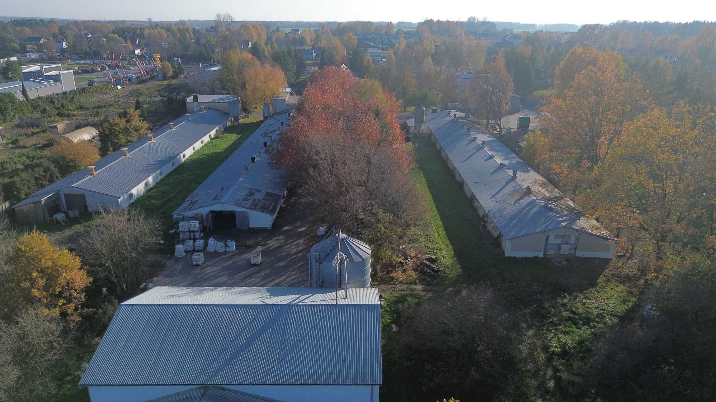 Ferma drobiu kury 3-letnia stopa zwrotu doskonała inwestycja prod. Jaj