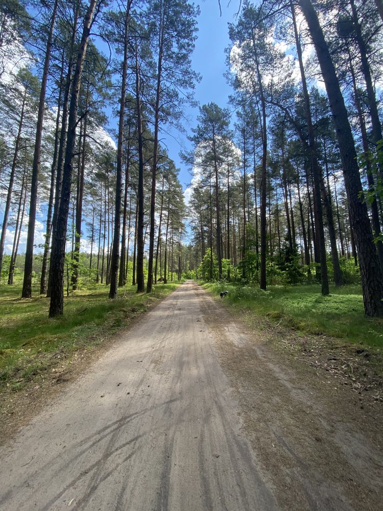 Domek letniskowy nad jeziorem Omulew, Warmia-Mazury