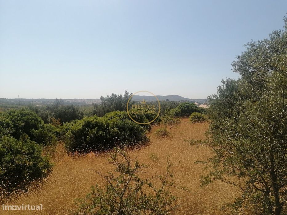 Terreno localizado nos Corgos de Sta Luzia perto de Loulé