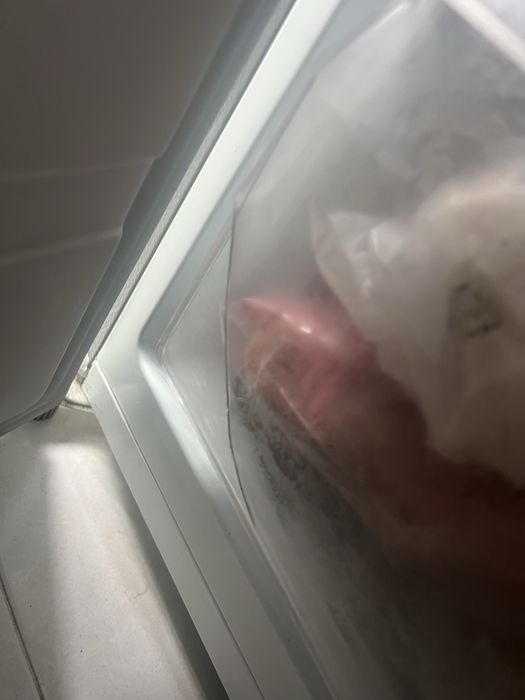 Frigorifico inox Eletronia