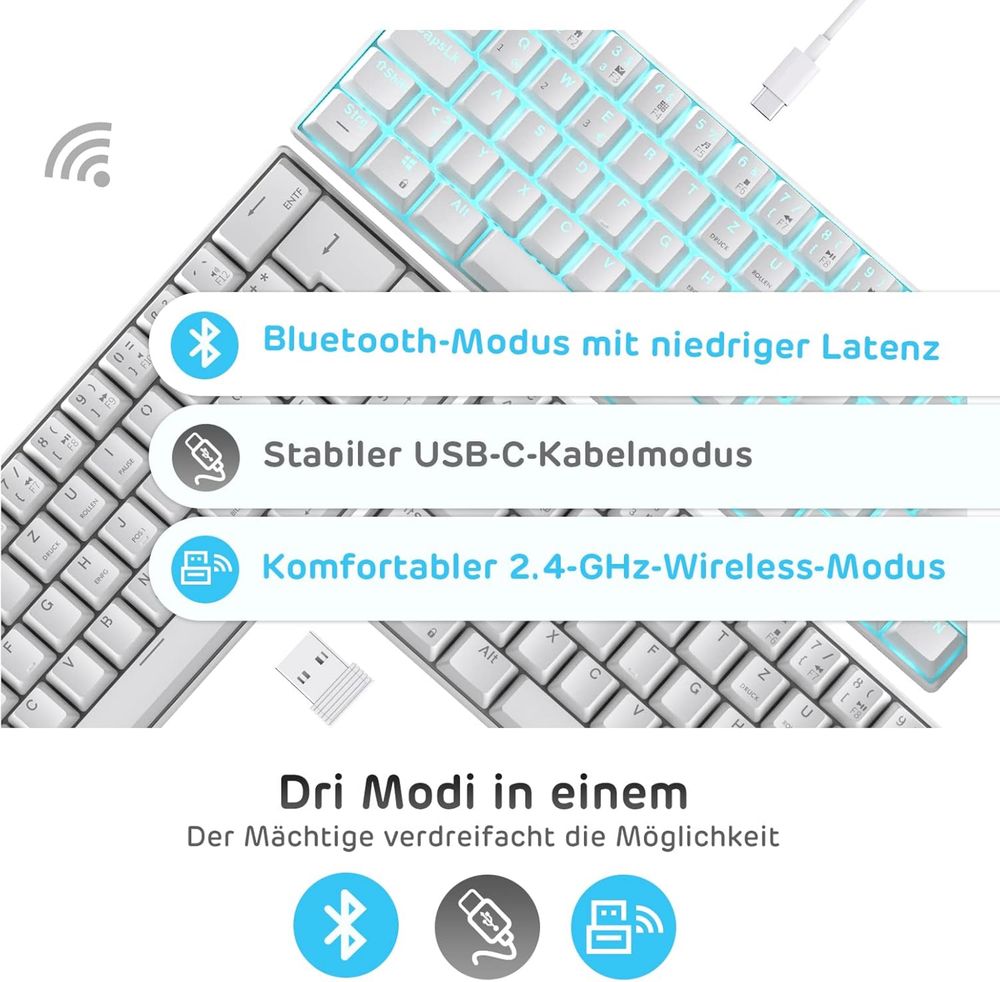 RK ROYAL KLUDGE RK61-DE 60% Bluetooth