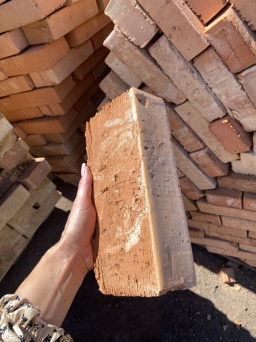 Цегла рядова повнотіла, марка М-100