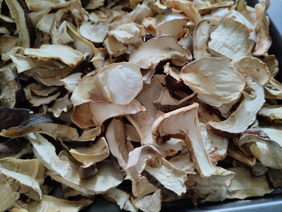 Grzyby borowiki prawdziwki suszone