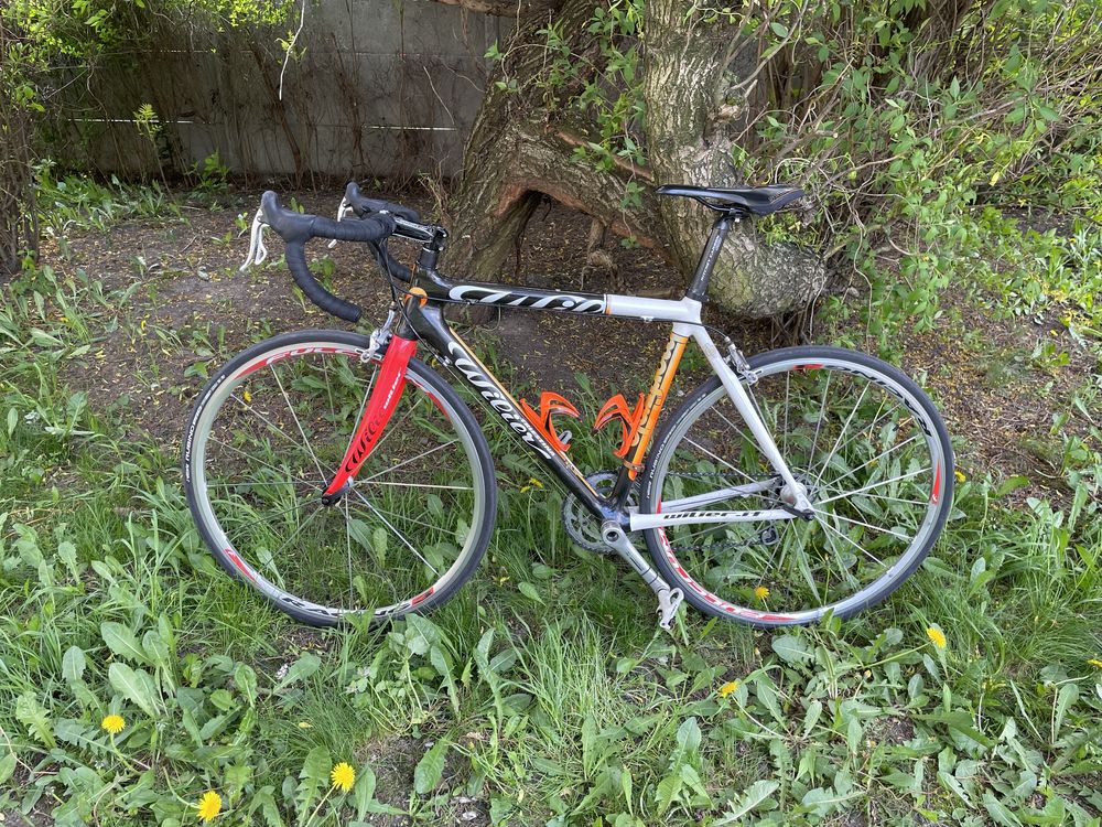 Piekny rower szosowy Wilier Triestina Mortirolo r54