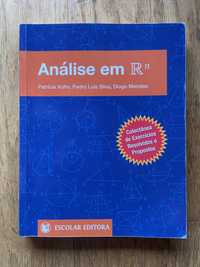 Livro Análise em Rn