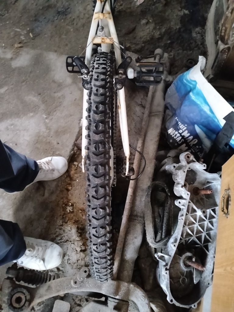Bicicleta BIrdRodas