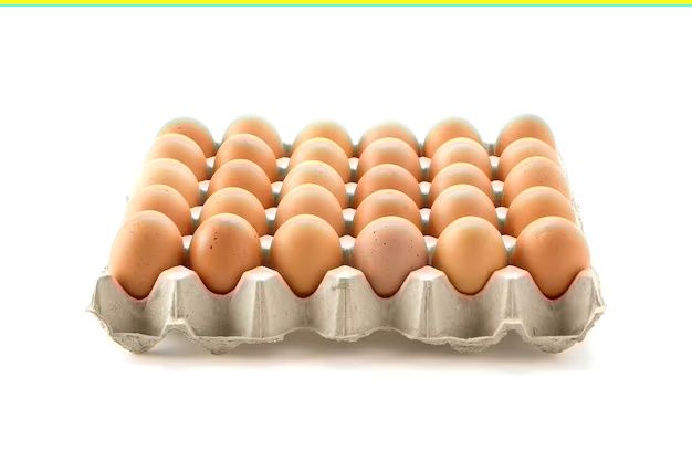 Інкубаційне яйце бройлерів росс 708  кобб 500