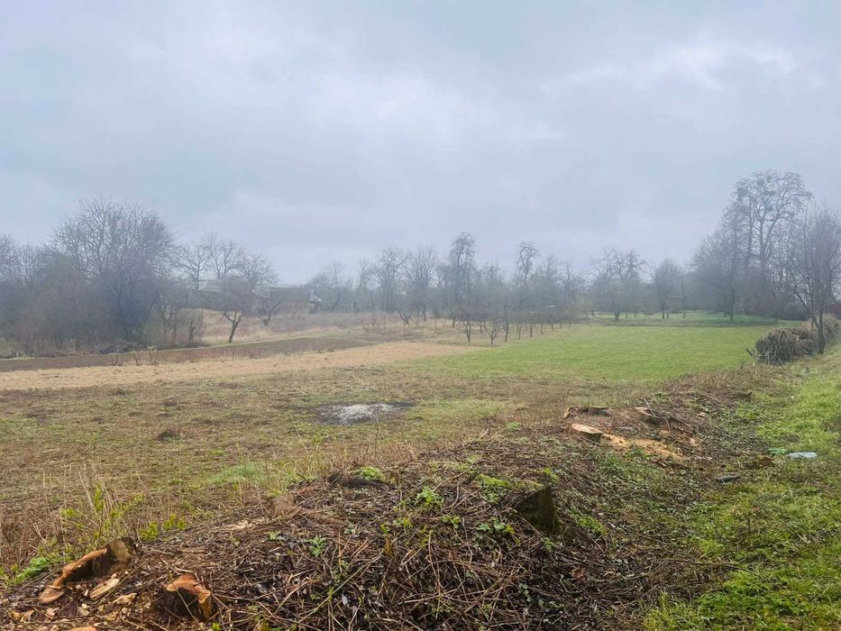 Продається земельна ділянка в с. Парпурівці 2187