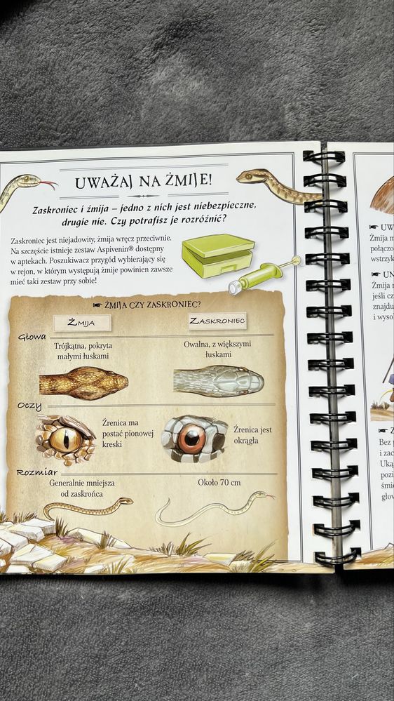 Mały odkrywca książka dla chłopców.