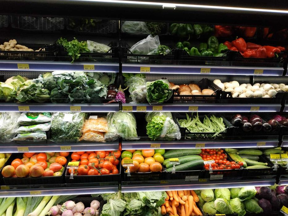 Expositor Refrigerado Vertical Profissional - Lisboa