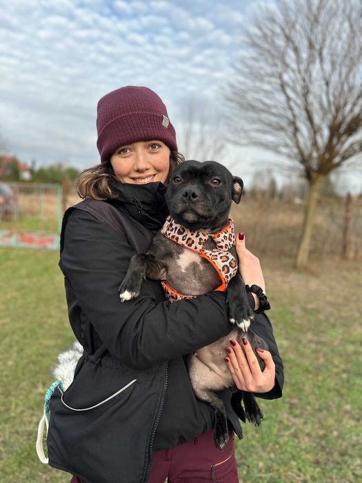 Behawiorysta psów | Szkolenie psów | Spacery socjalizacyjne | Warszawa