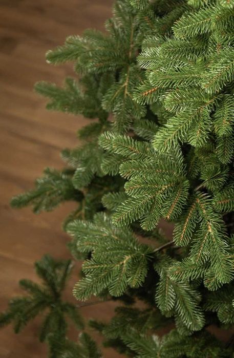 Ялинка Ковалівська Зелена лита Елка