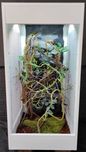Terrarium nr409 tropikalne dla kameleona 50/50/100 NA ZAMÓWIENIE