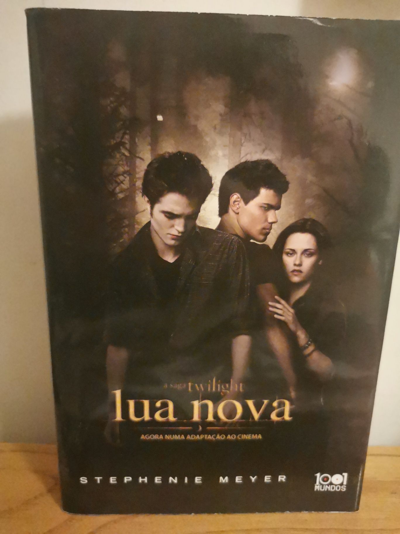 Livro - Lua Nova da Saga Twilight