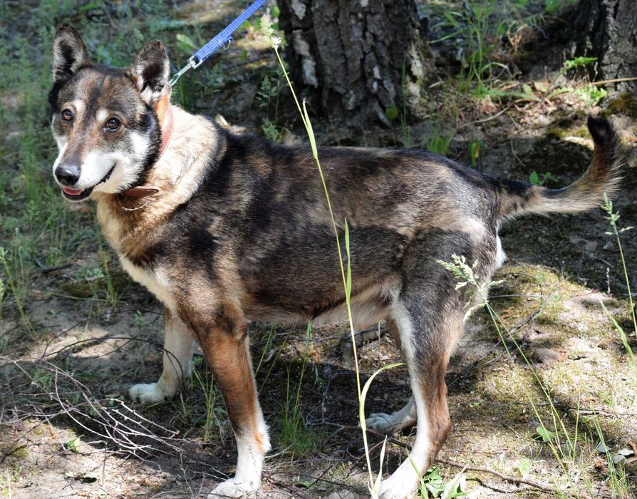 17 letni Pimpek - czy zdąży do domu ?