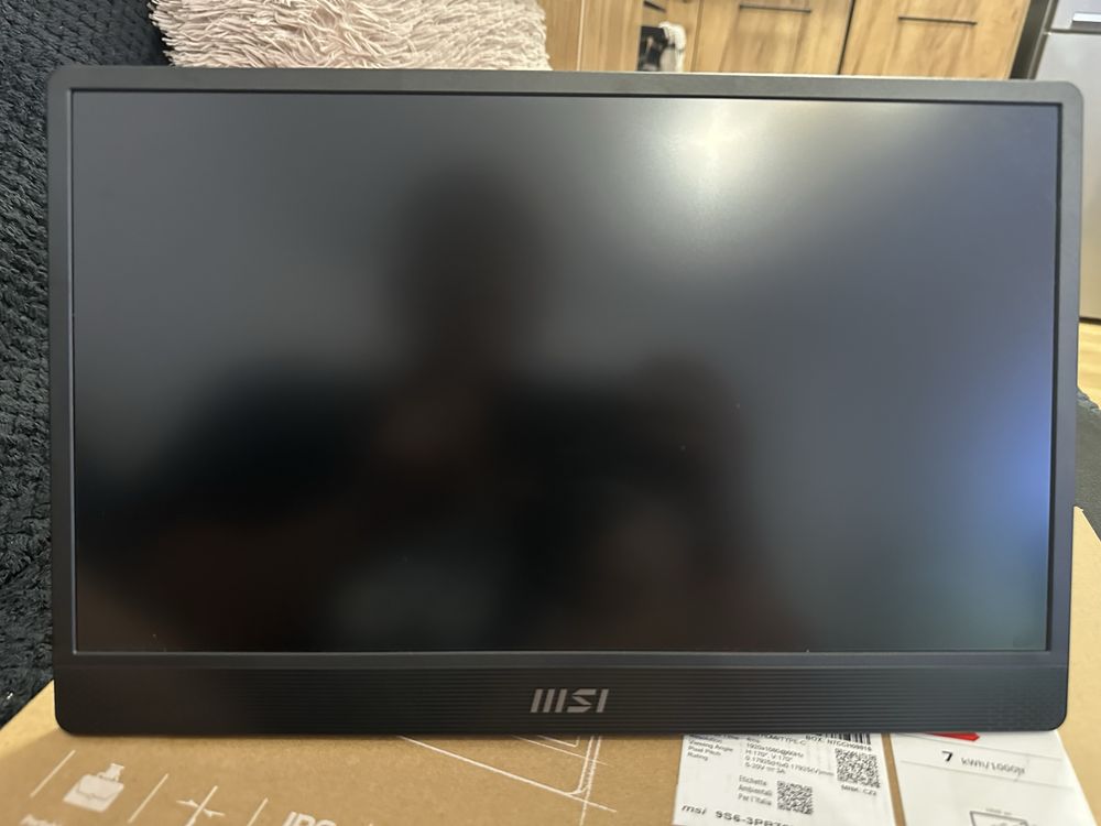 Monitor przenośny MSI PRO MP161