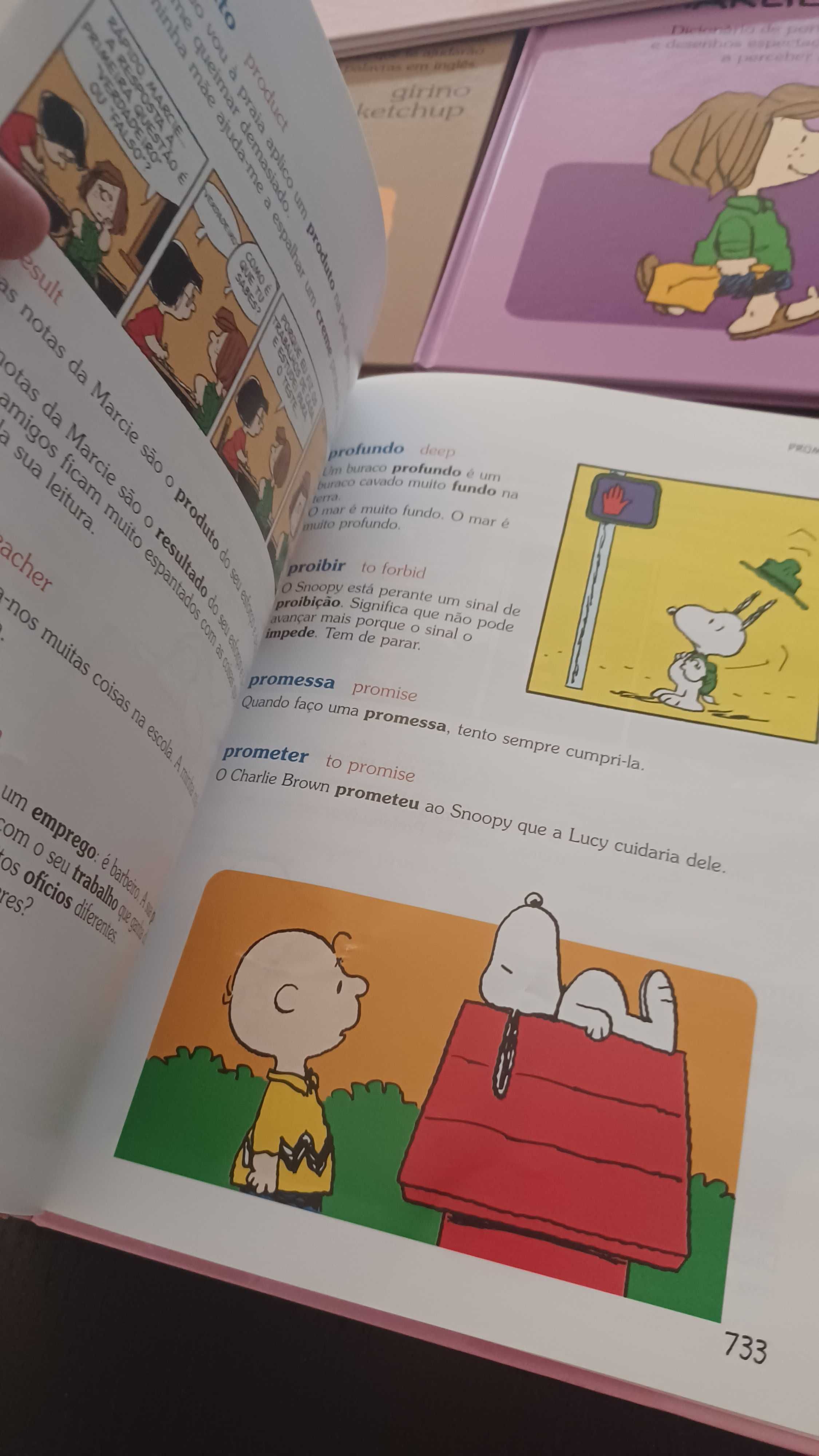 Dicionário Português Charlie Brown- 16 livros