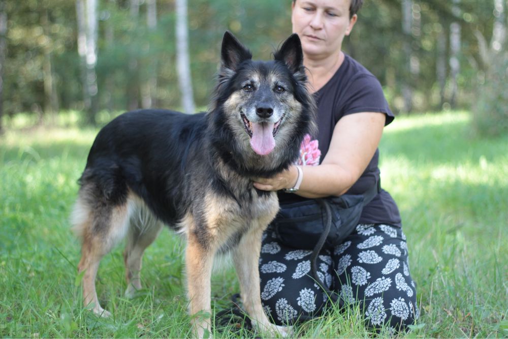 Kochana Kora już tyle czeka na dom…