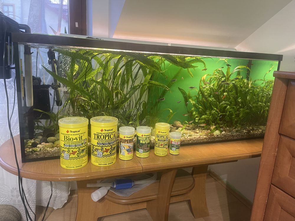 Akwarium 170 l.