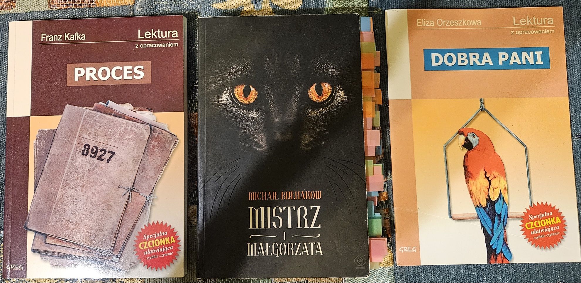 Lektury. Liceum Narcyzy Zmichowskiej