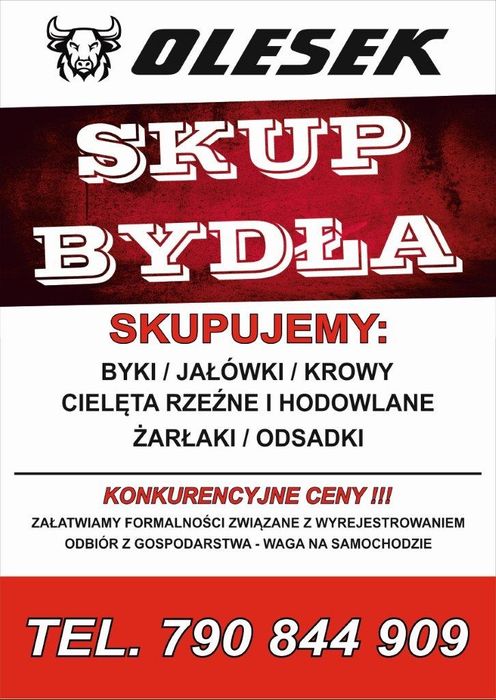Bydło/cielęta/Odsadki