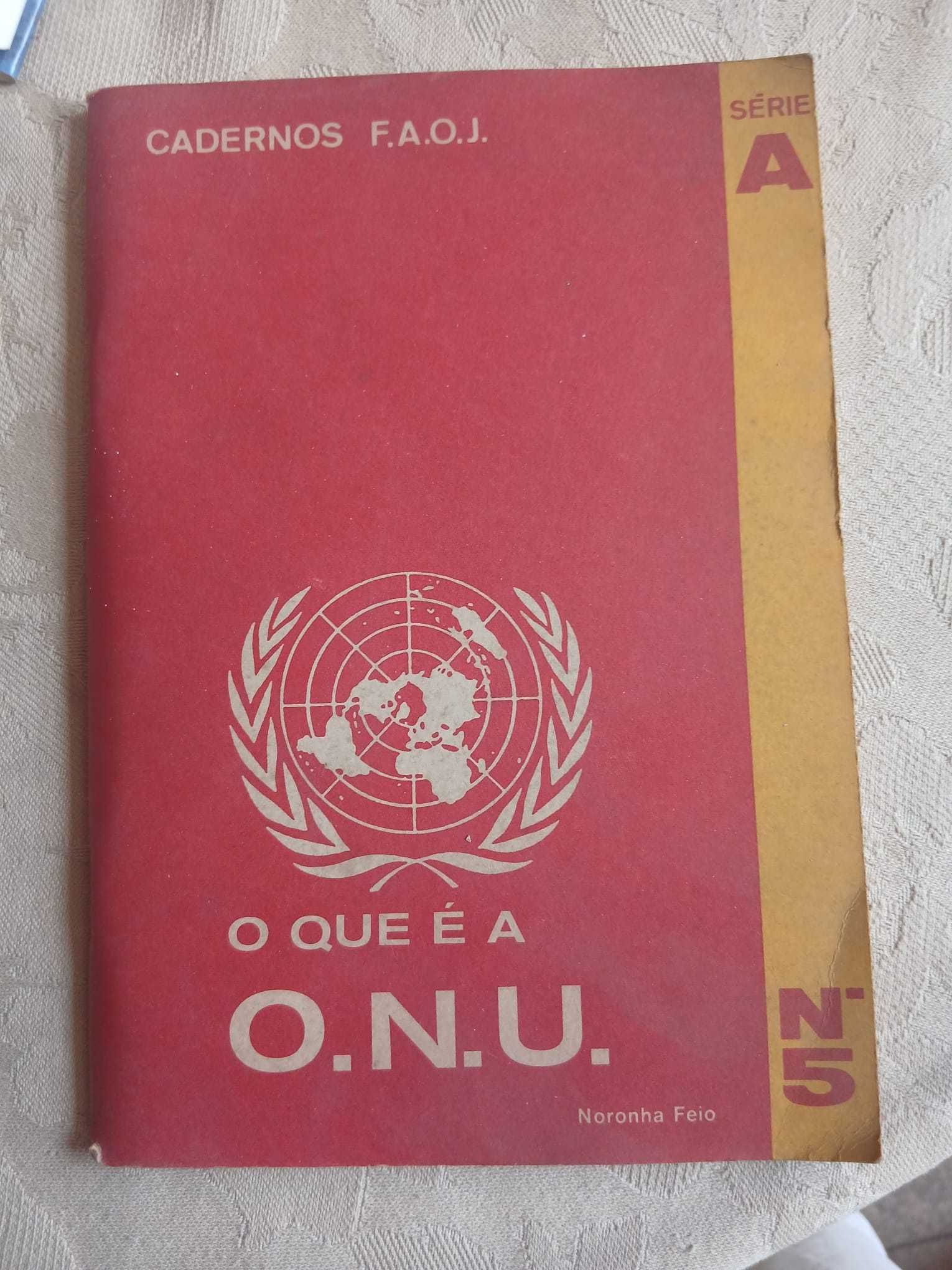 Cadernos F.A.O.J., O que é a ONU?