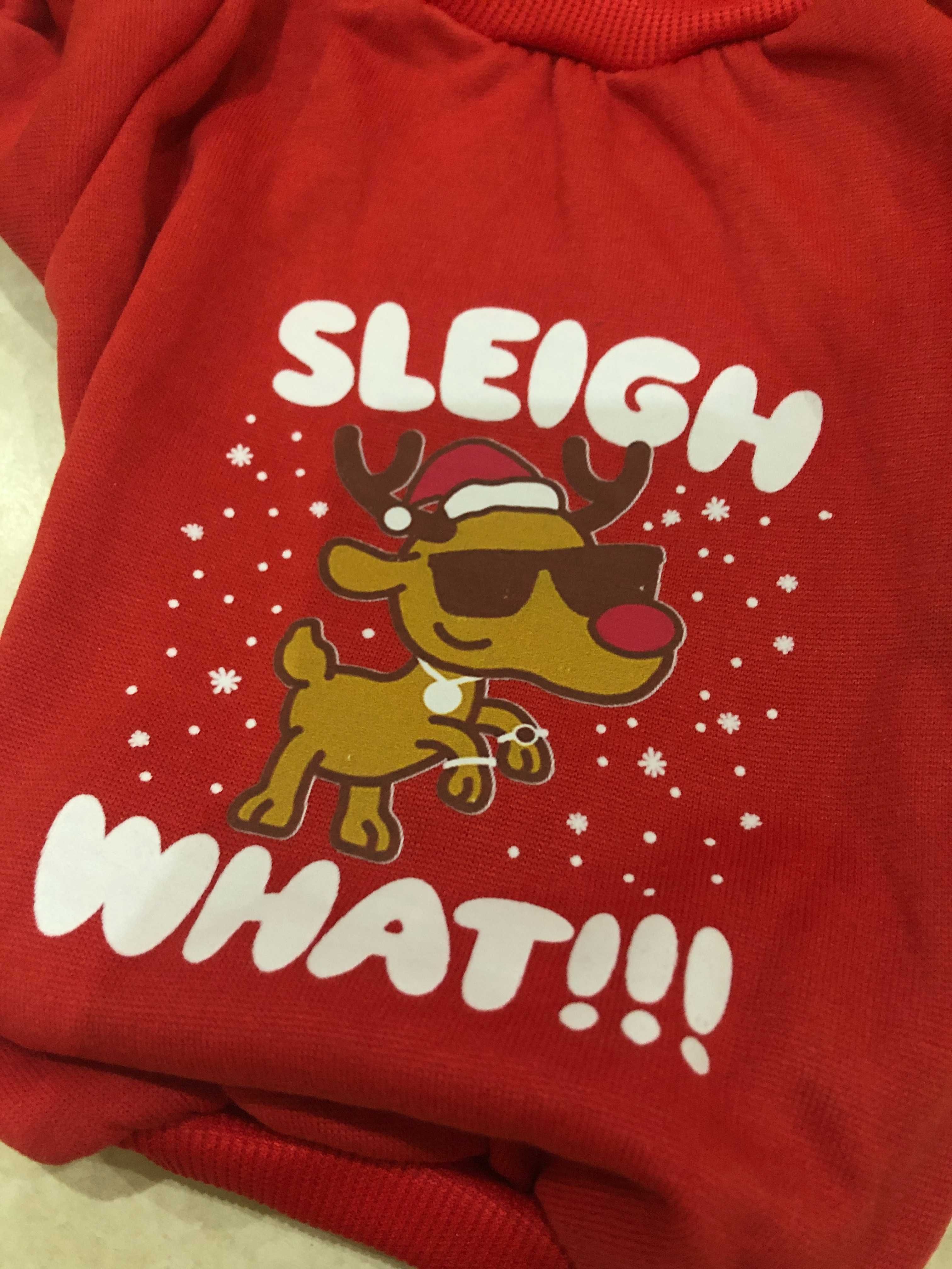 Camisola nova para animal de estimação