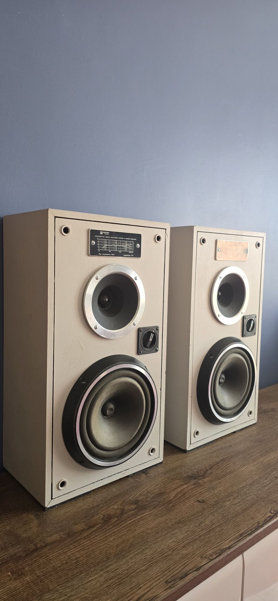 UNITRA TONSIL głośniki 30 W x2