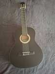 Guitarra acústica Sheffield