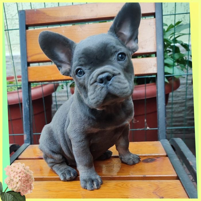 Найкраща дівчинка