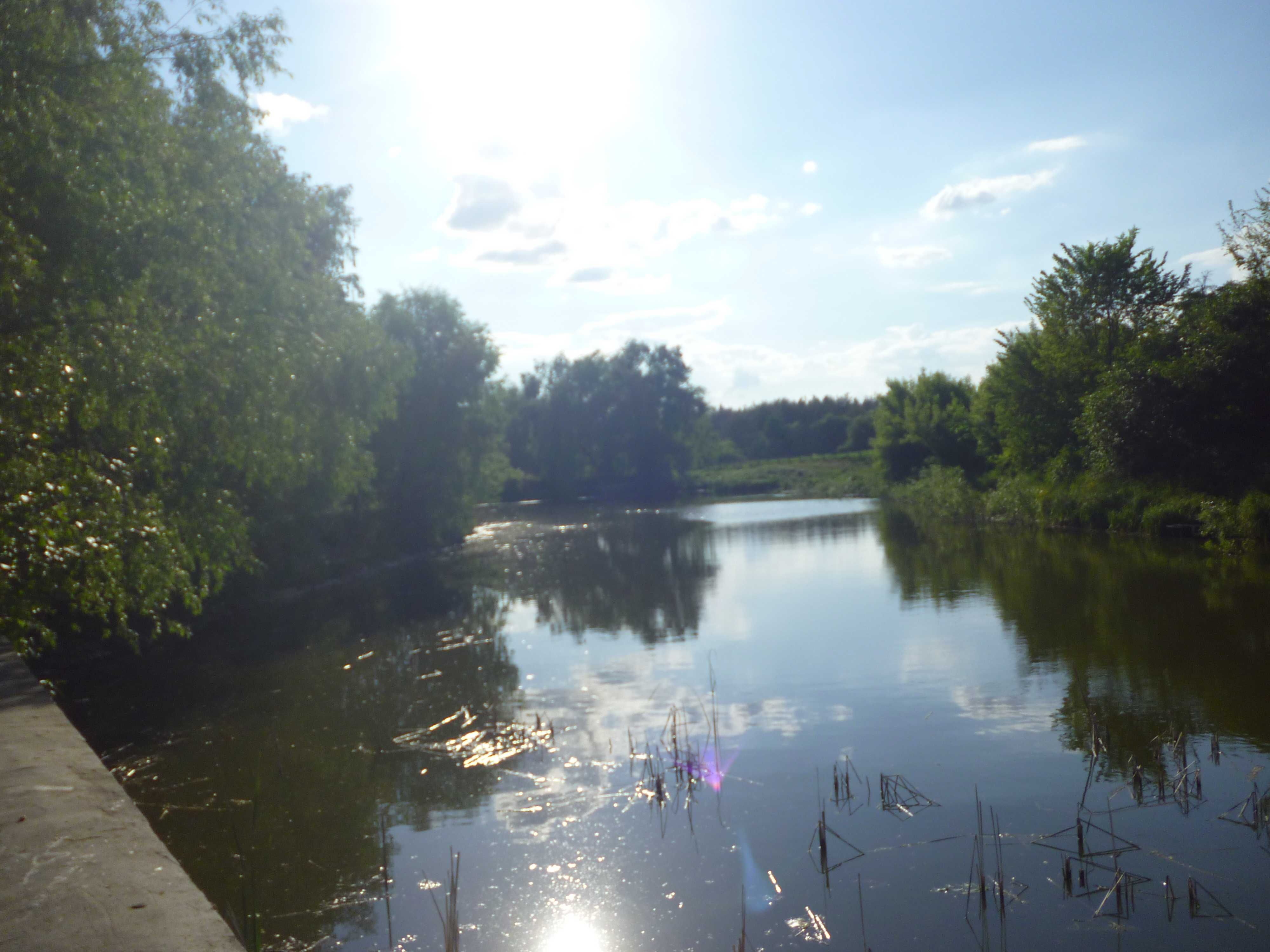 Диброва, участок  6 Га, под коттеджный городок.