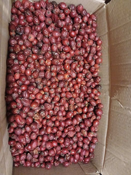 Шипшина сушена шипшина.