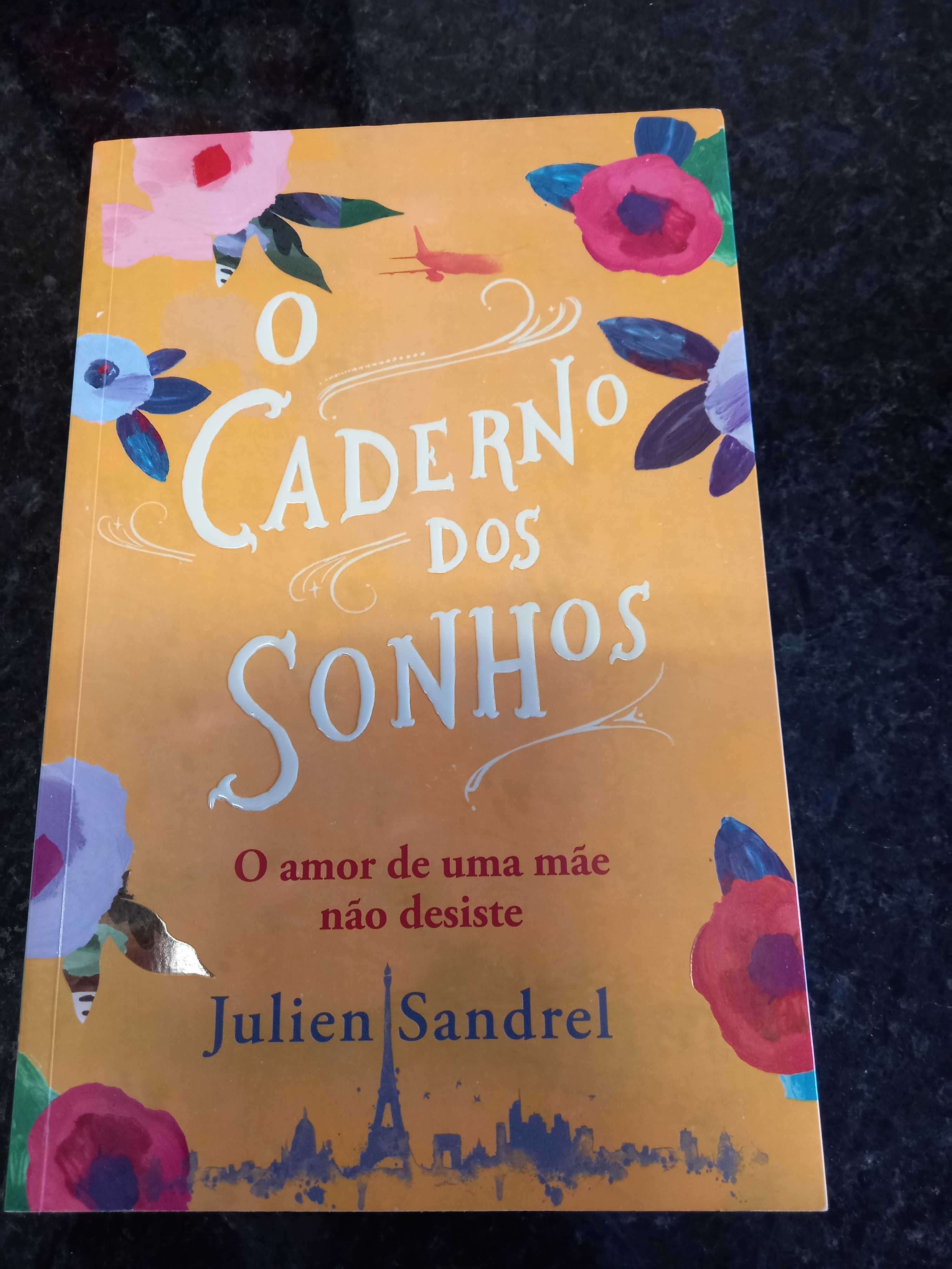 Livro " o Caderno dos Sonhos" de Julien Sandrel