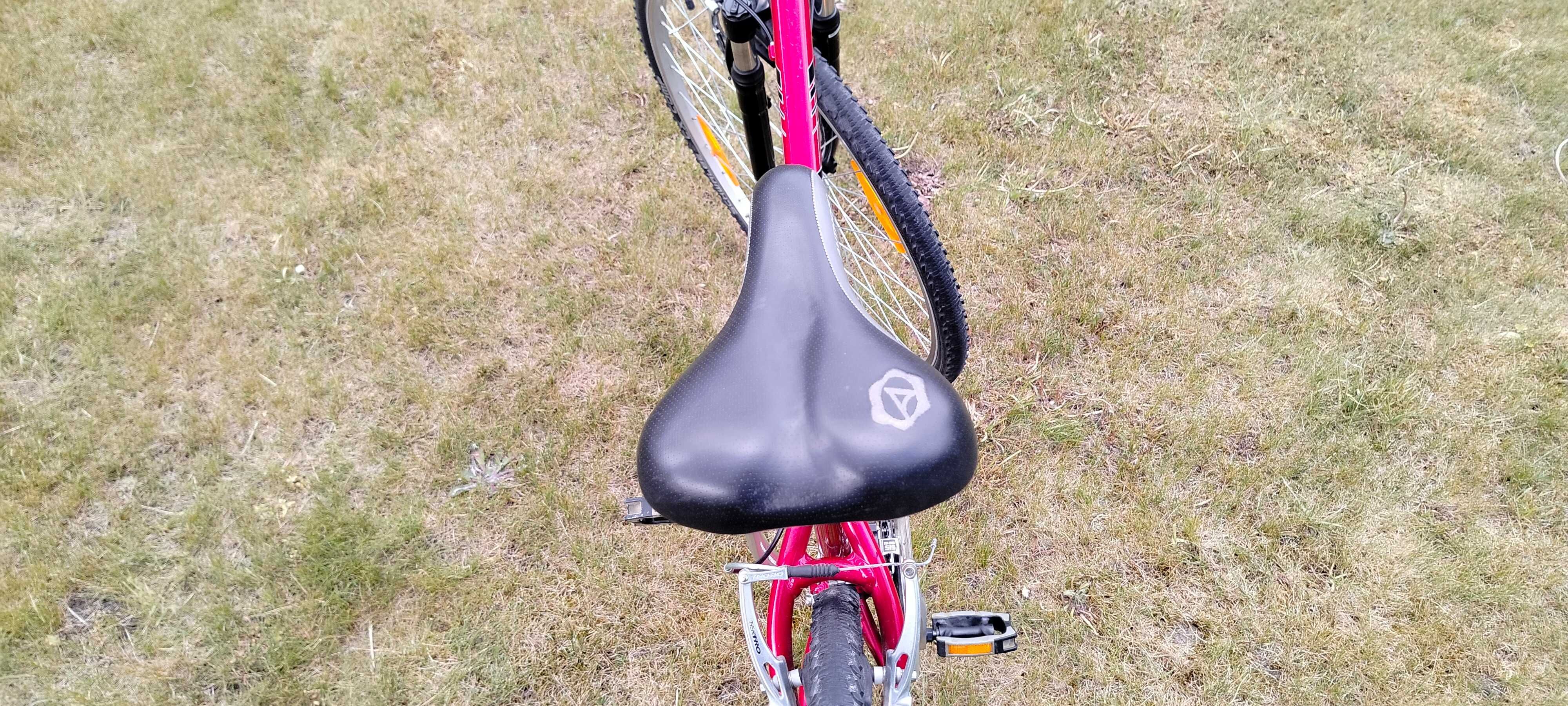 Rower AUTHOR LINEA 17" Cross