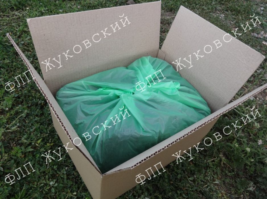 Печериці білі, готовий комплект для вирощування Сімейний