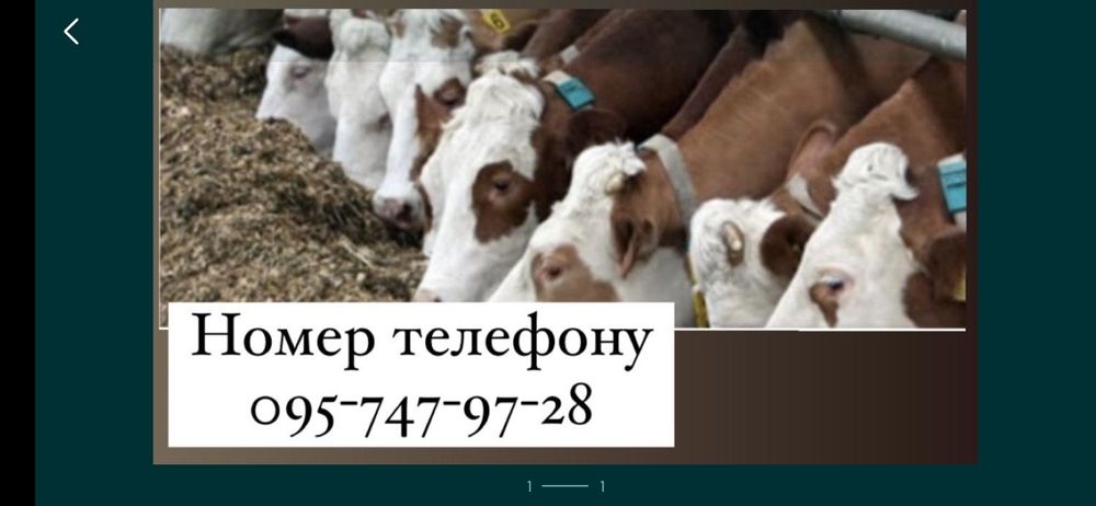 Жом з доставкою по м. Кропивницький та Кіровоградській області