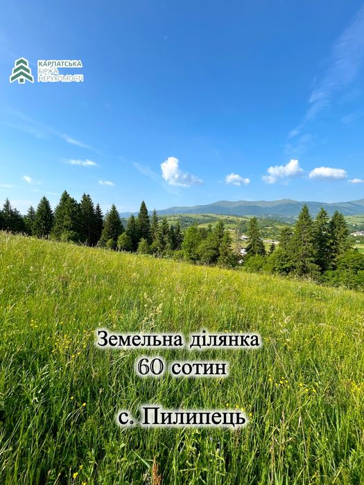 Знмельна двлянка в туристичному селі Пилипець
