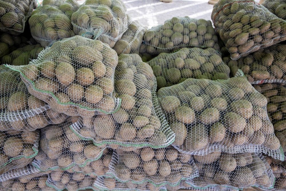 Ziemniaki jadalne - ekologiczne