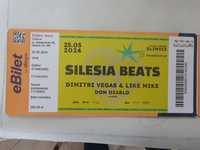 Festiwal Silesia Beats Gliwice