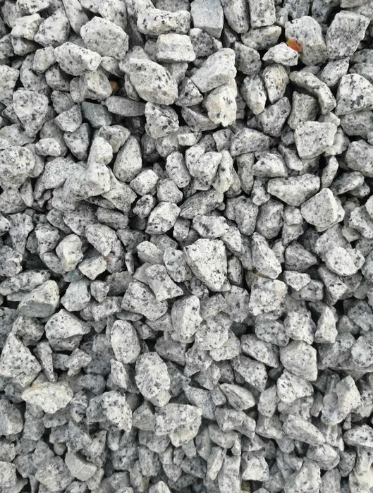 Promocjia dalmatyńczyk kamień granitowy 16-22