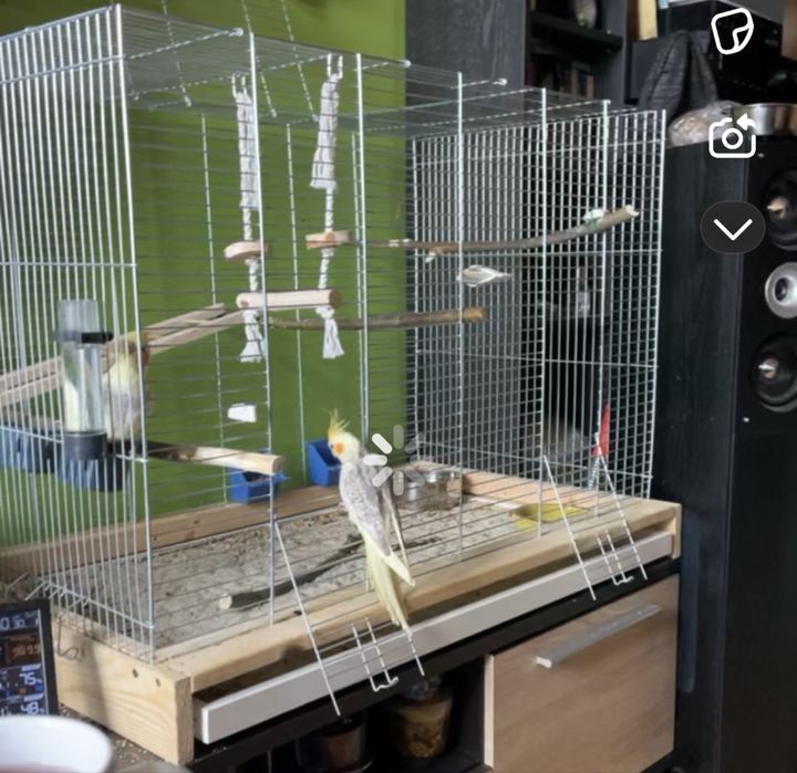 Klatka dla papug duża