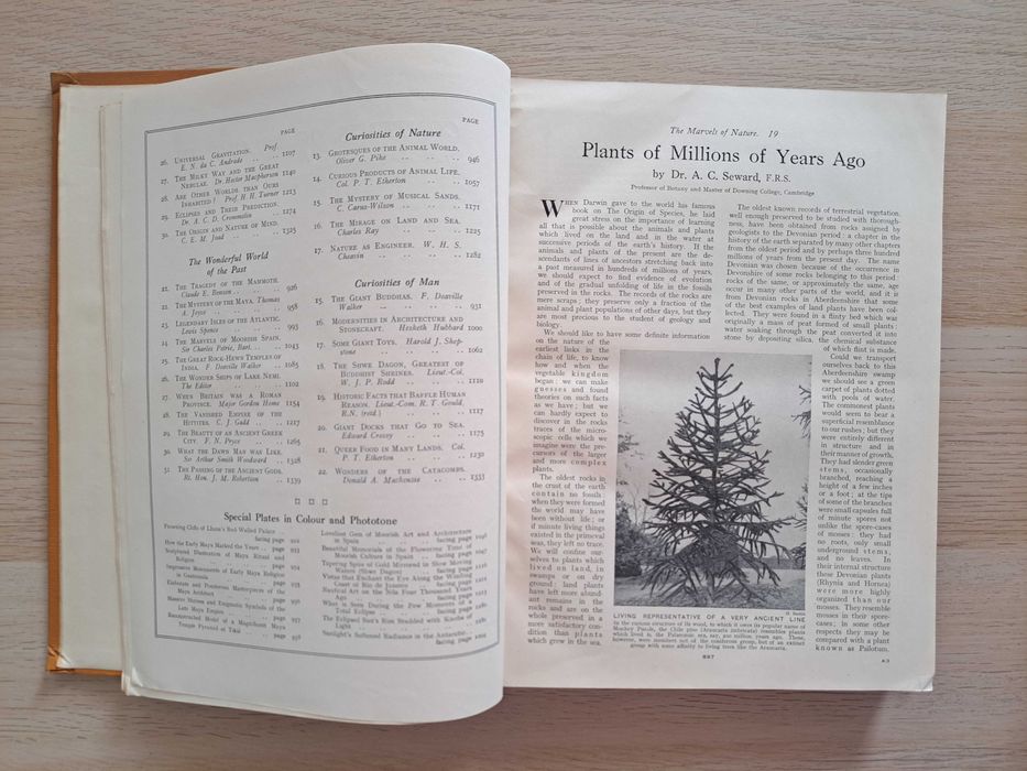 1920 rok. Our Wonderful World