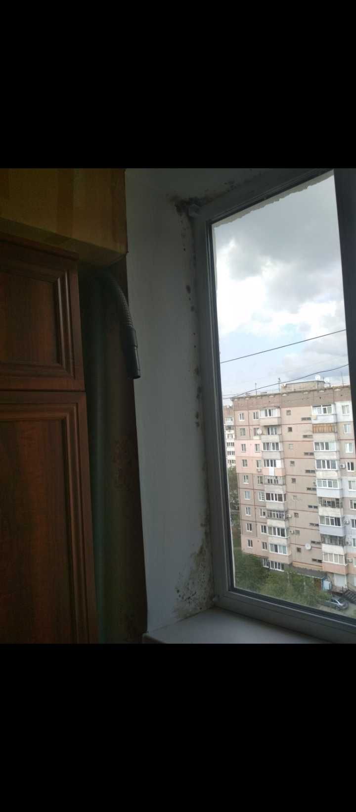 Средство от плесени, грибка