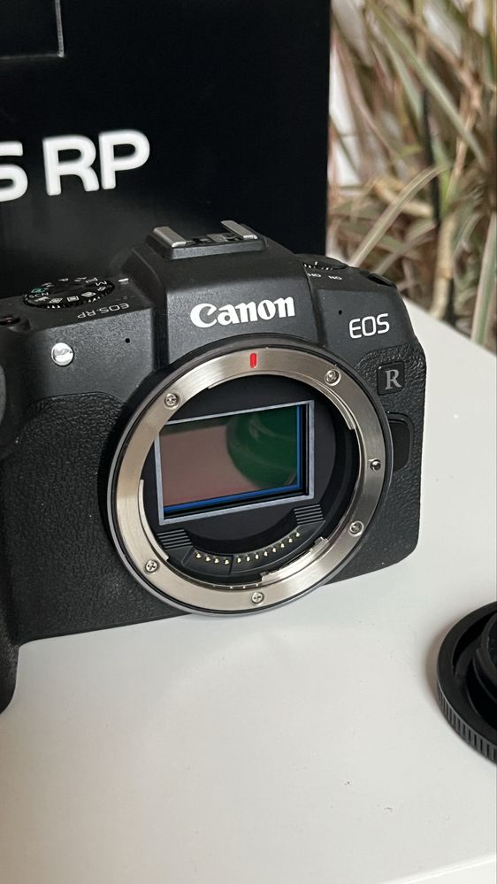 Canon RP Body 5k zdjęc