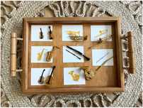 Instrumentos Musicais - Montessori