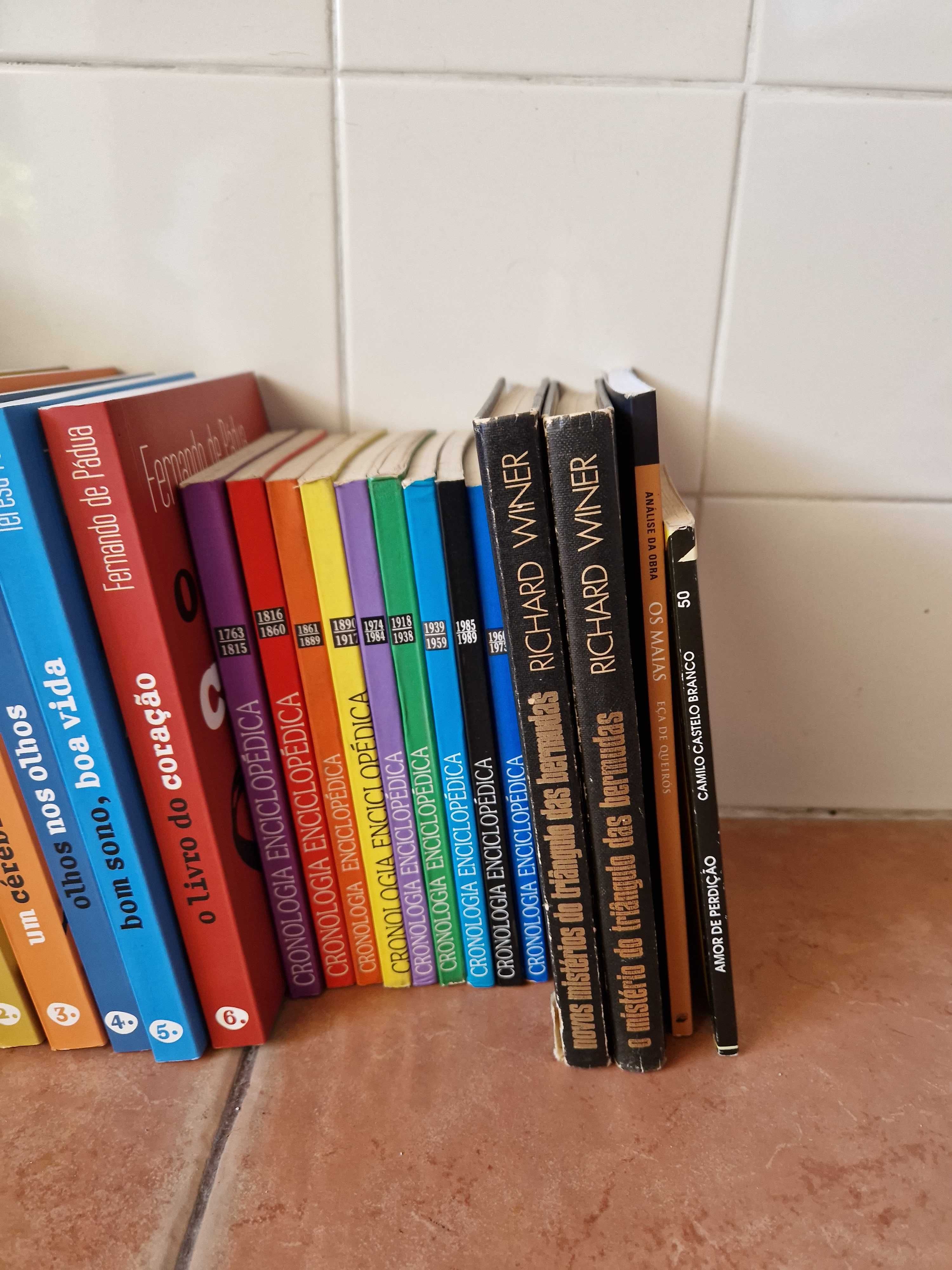 Conjunto de enciclopédias e livros vários