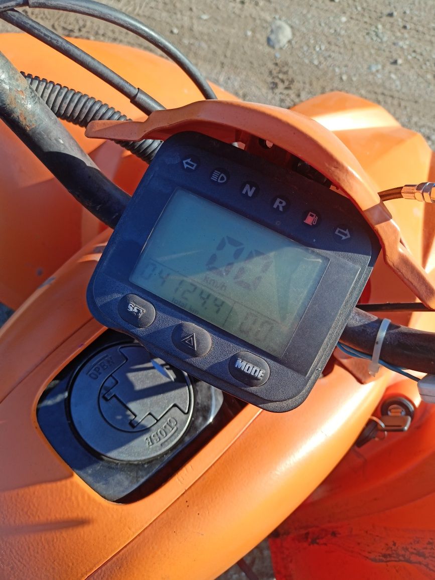 Quad Bashan 250 cm