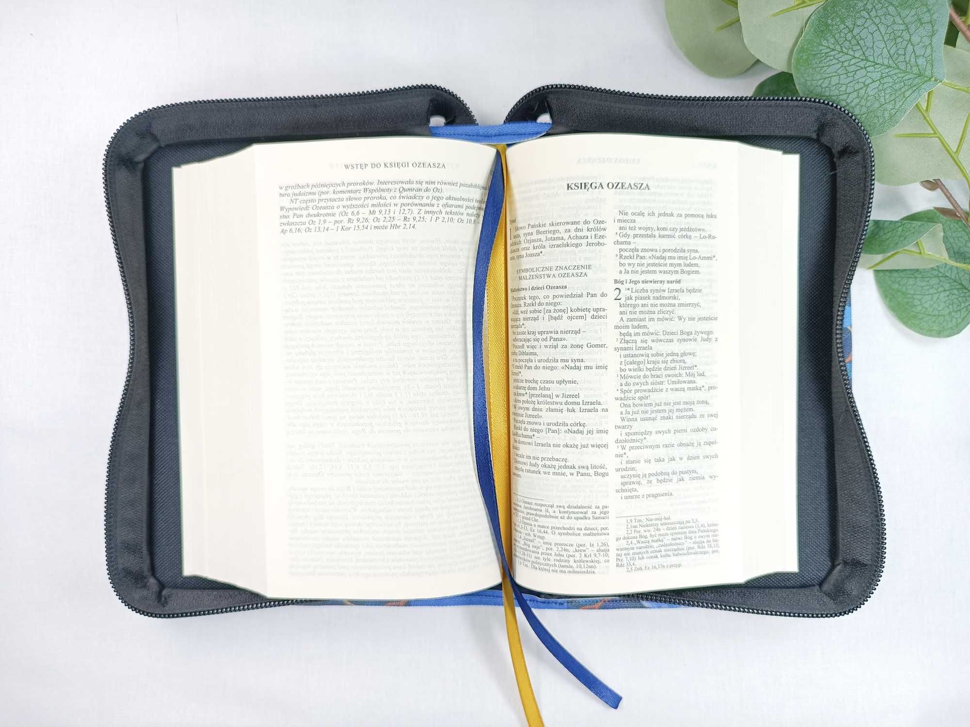 Okładka, etui na Pismo Święte, Biblię | EDYCJA ŚW. PAWŁA | beż D09