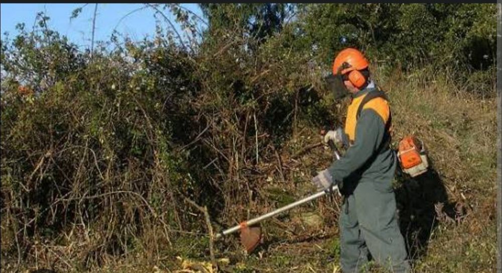 limpeza de terreno